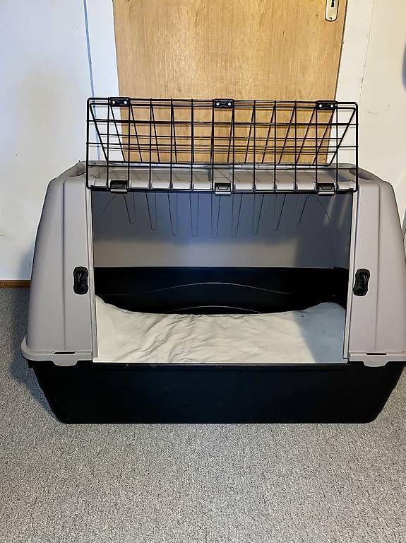 Käfige, Transport & Sicherheit: Hundebox – Gebraucht aus Dägerlen von CNA9