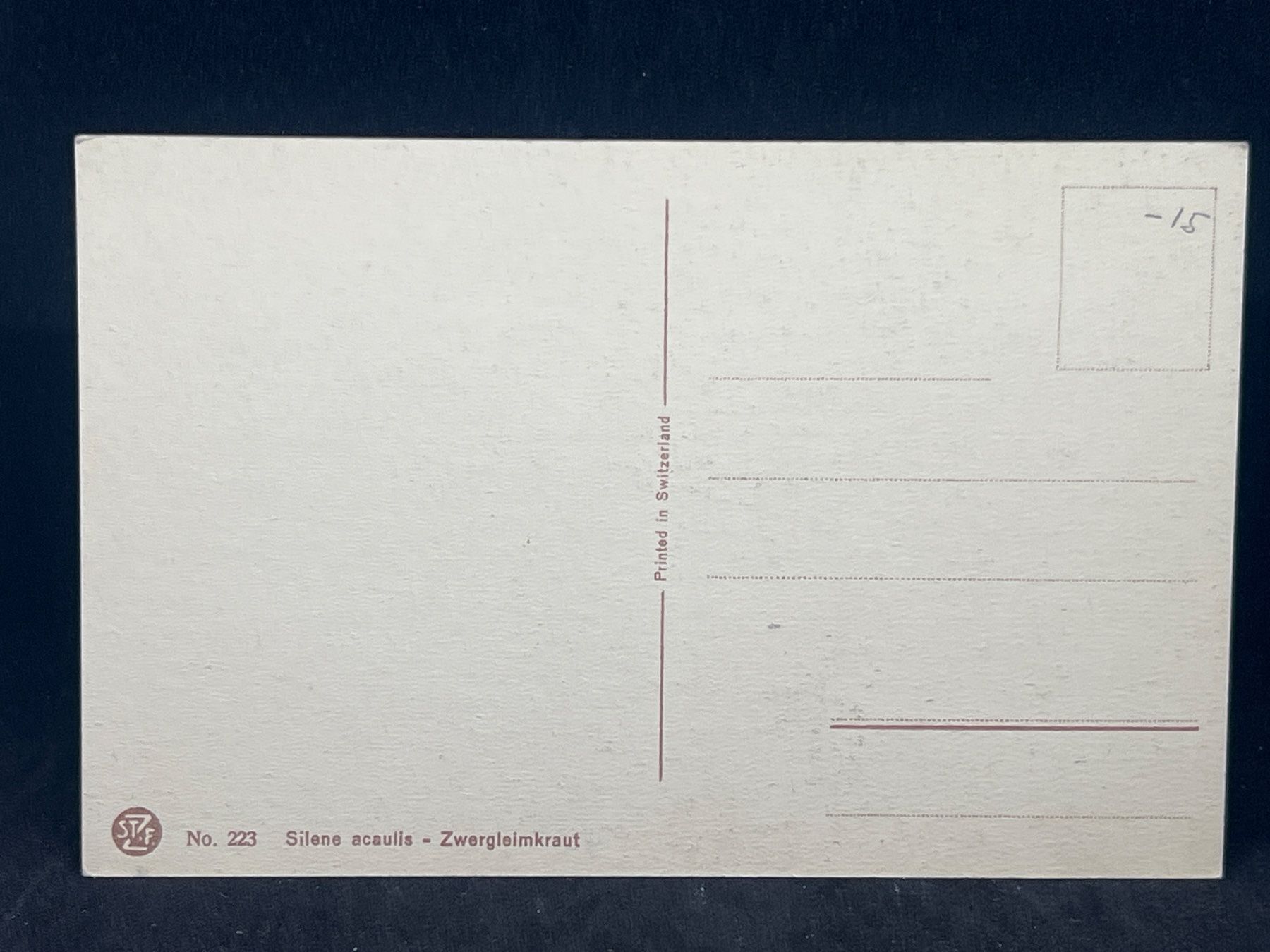 Cartoline postali: Ansichtskarte: Silene acaulis - Zwergleimkraut – Usato da Widnau venduto da Brusi9 1
