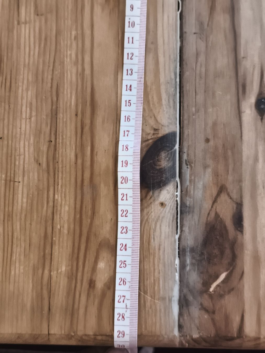 Autres décorations & accessoires: Holzkiste mit Rollen und Deckel(A26) – D'occasion à Künten par Schnaepplihuus 2