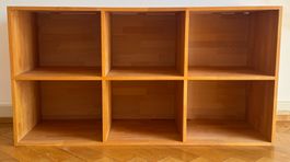 Sideboard / Plattengestell (Unikat, Bioholz, Topzustand)