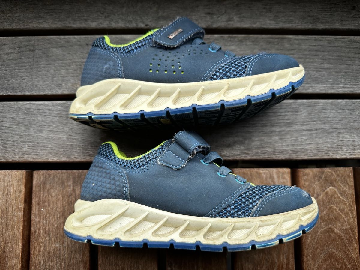 Primigi Scarpe per ragazzi: Primigi Turnschuhe Gr. 29 – Usato da Oberstammheim venduto da credible-girl 4