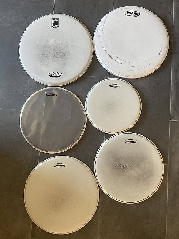 Strumenti musicali: Diverses peaux de batterie – Usato da Vevey venduto da yvanschulz