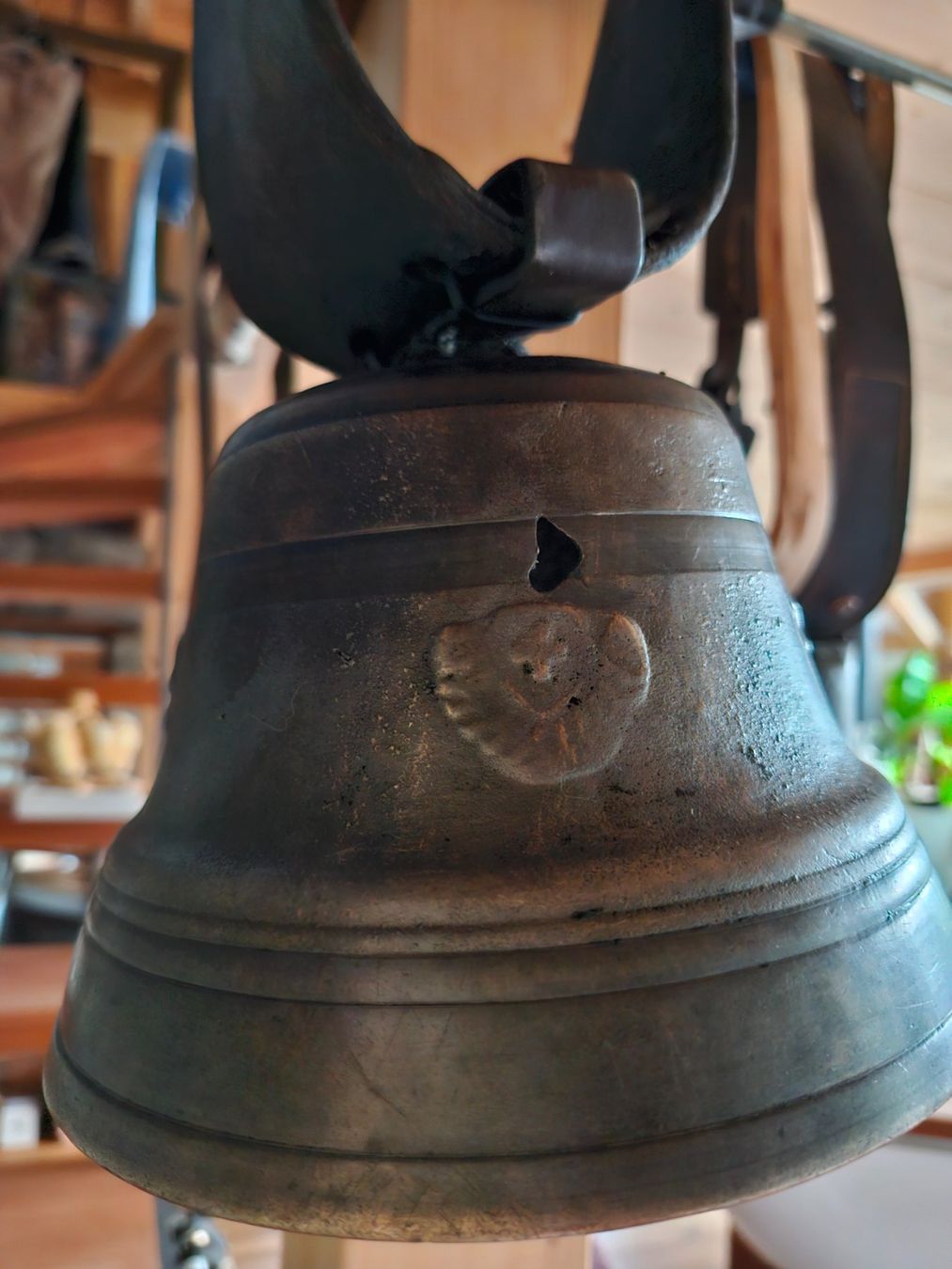 Campanacci mucche: Glocke Treichel – Usato da Guarda venduto da rue_bpd7 3