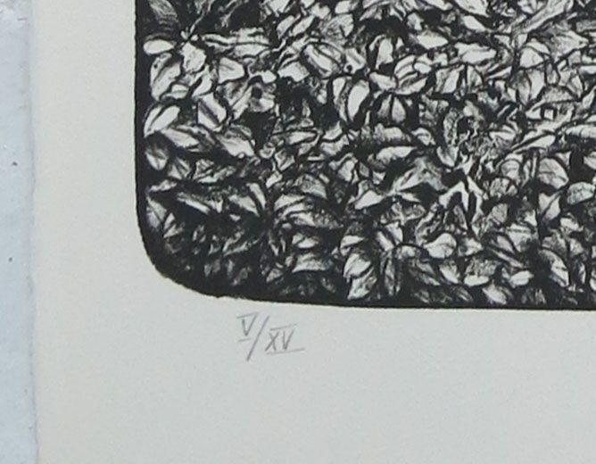 Grafica & Litografie: Barry Cotton Lithografie 1983 – Usato da Basel venduto da artmax 2