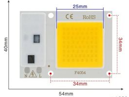 30W LED Chip COB Kaltweiss F4054 220V für Flutlichtstrahler
