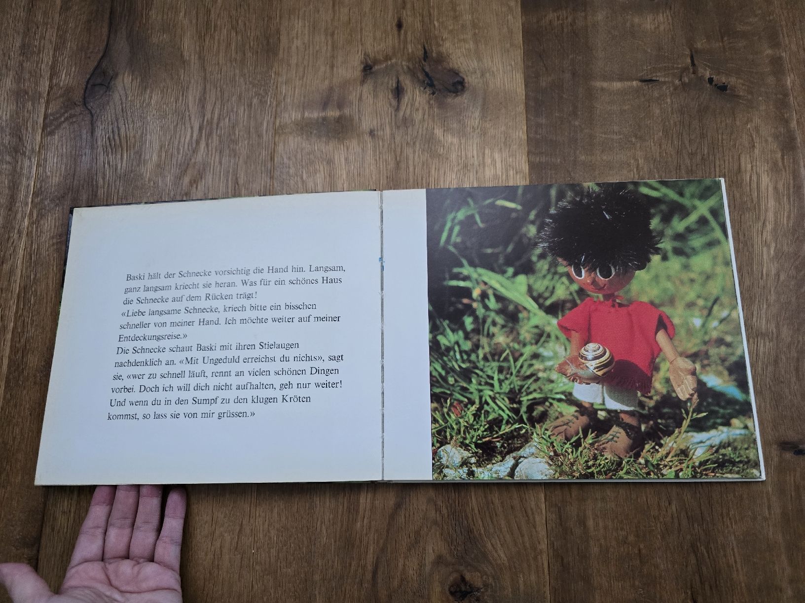 Libri: buch baski – Usato da Wittenbach venduto da Tigerlili 6