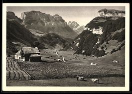 AK Wasserauen, Panorama mit Ebenalp, Wildkirchli, Altmann un