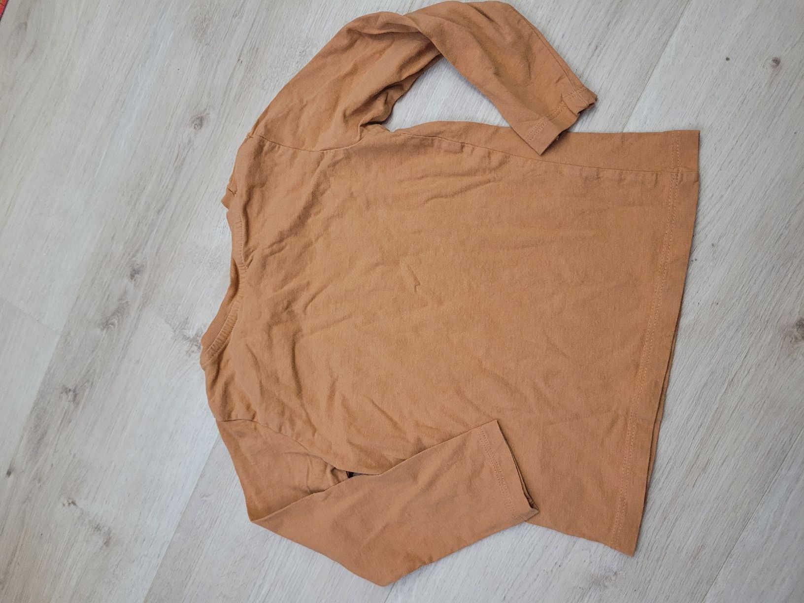 Maglioni & Felpe: Pullover Gr. 98/104 t-rex – Usato da Lupsingen venduto da sta_wgg5 3