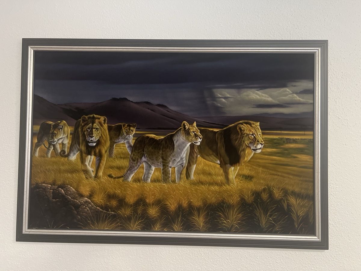 Tableaux: Gemälde Löwenherde mit Rahmen von Pine  – D'occasion à Uznach par Apuutze