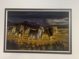Gemälde Löwenherde mit Rahmen von Pine 