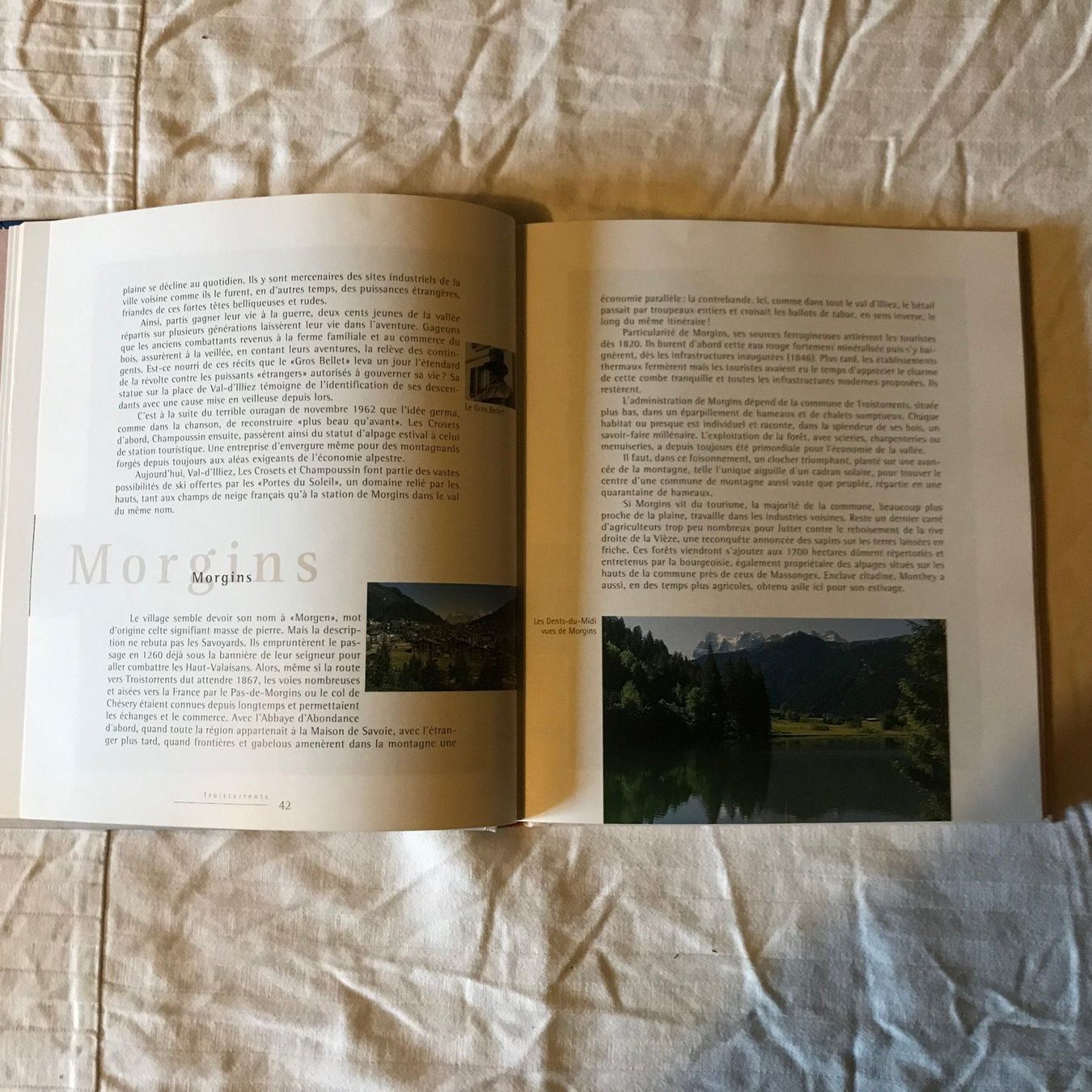 Bücher: Livre "Le Chablais" Une réalité – Gebraucht aus Ste-Croix von mjmg 4
