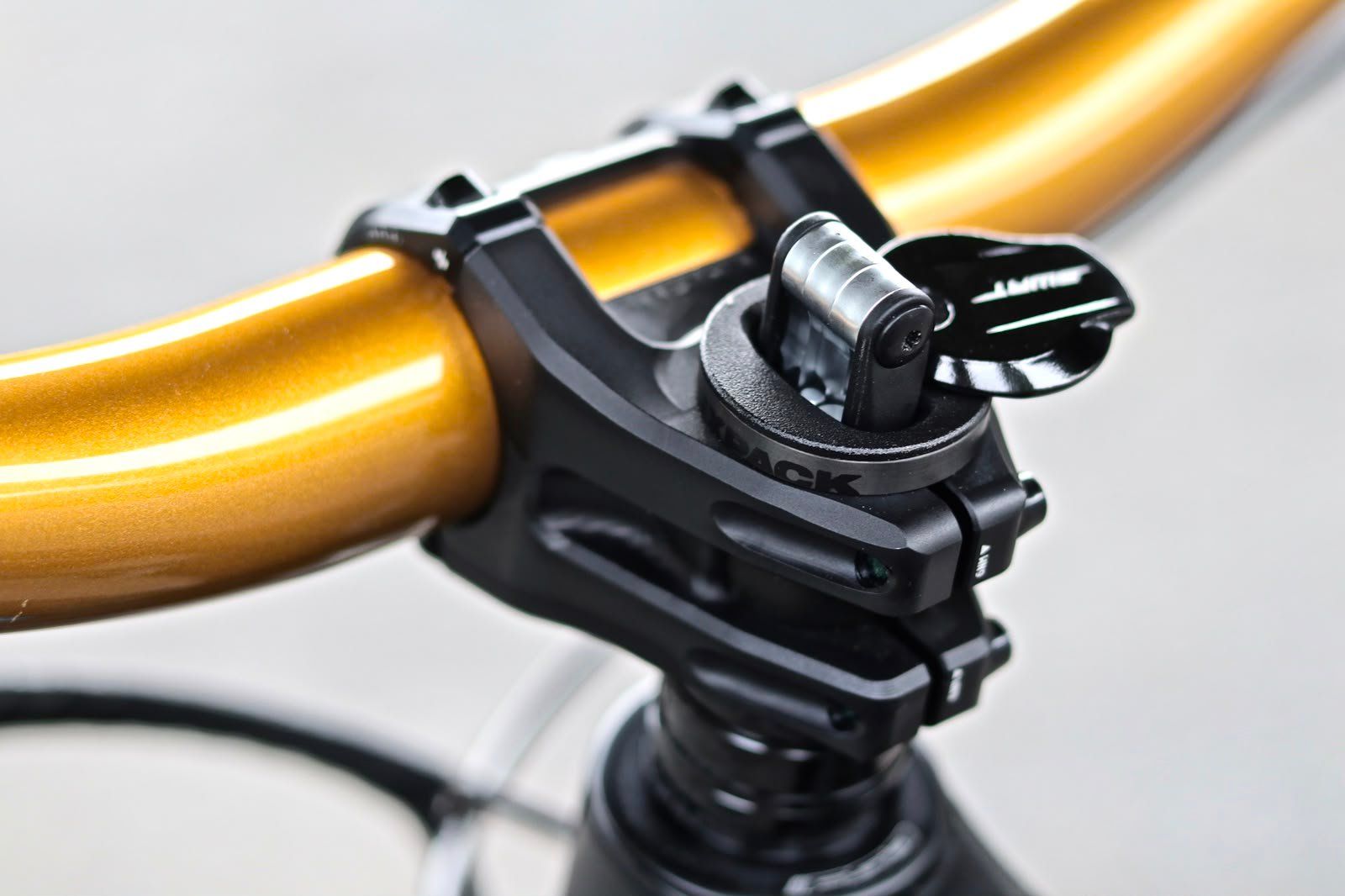 Specialized Biciclette: Specialized Enduro S-Works Project (Custom Build) – Nuovo e nell'imballaggio originale da Emmenbrücke venduto da fuscaldo 3