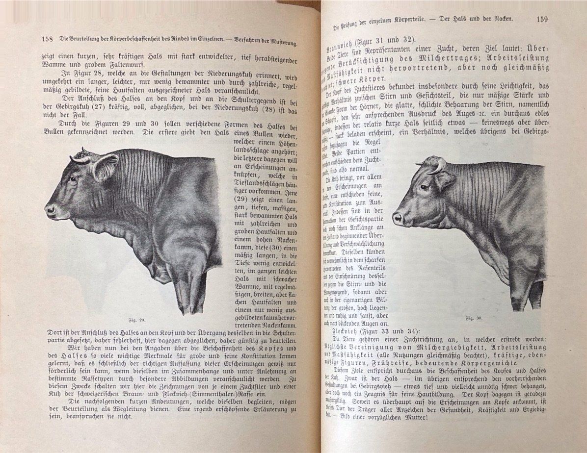 Libri: Kraemer Adolf, Das schönste Rind – Usato da Sarnen venduto da Livres 3