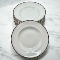 Lot de 10 assiettes porcelaine Schönwald PSAG années 1911/27