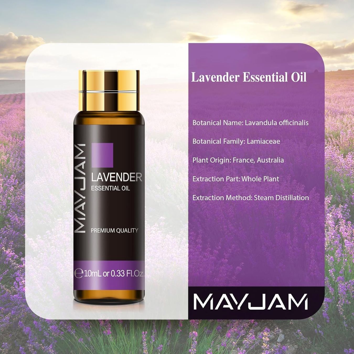 Ätherische Öle: Ätherisches Lavendelöl 10ml 100% natürlich für Diffusor – Neu und originalverpackt aus Genève von Top-Trend 2