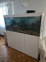 Älteres Aquarium abzugeben