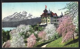 Weggis a. Vierwaldstättersee, Hotel Alp