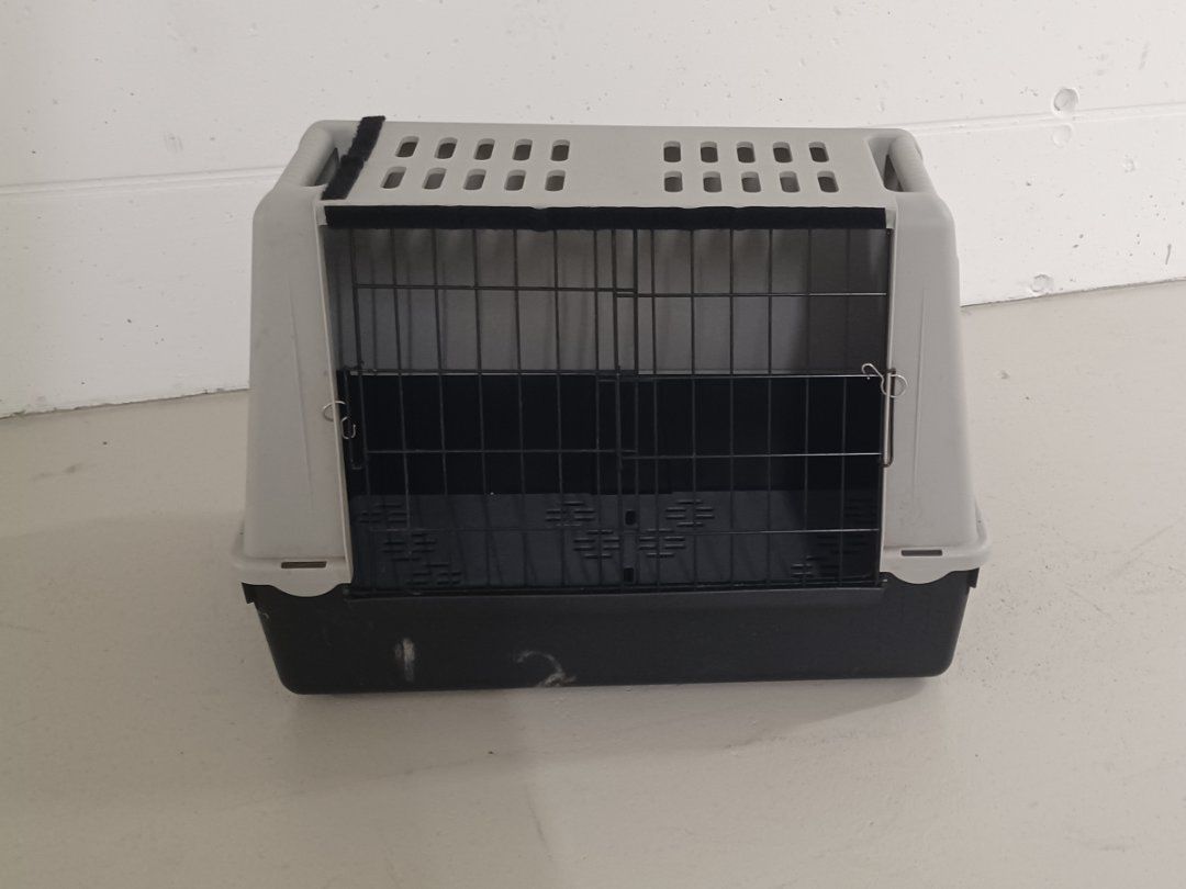 Gabbie, trasporto & Sicurezza: Gut erhaltene Transportbox für Hunde oder Katzen. – Usato da Luzern venduto da spyro-gyra