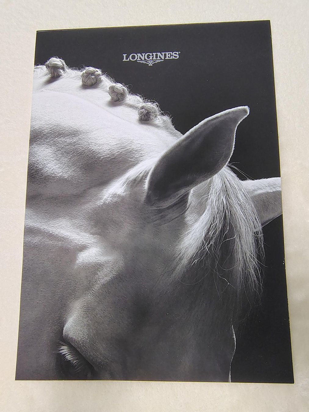 Penna & Evidenziatori: Longines, stylo et bloc-notes équestre – Nuovo (secondo la descrizione) da Péry venduto da Sodubavallon 1