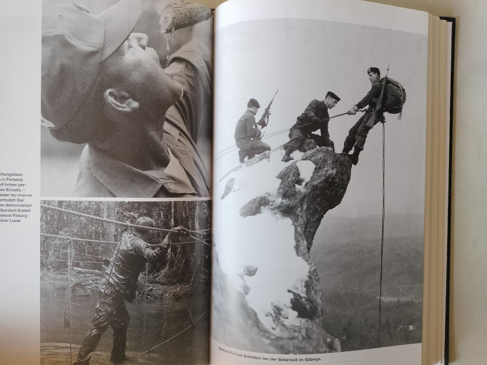 Libri: Armee Militär Buch – Usato da Schwanden Sigrisw venduto da cadieux71 7