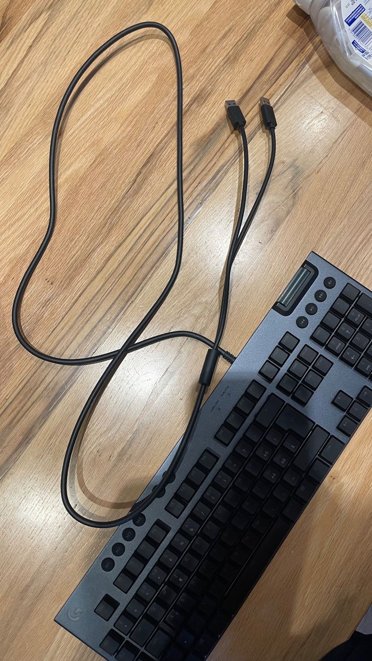 Logitech Tastiere: Logitec G815 – Usato da Leukerbad venduto da Viktoria 1