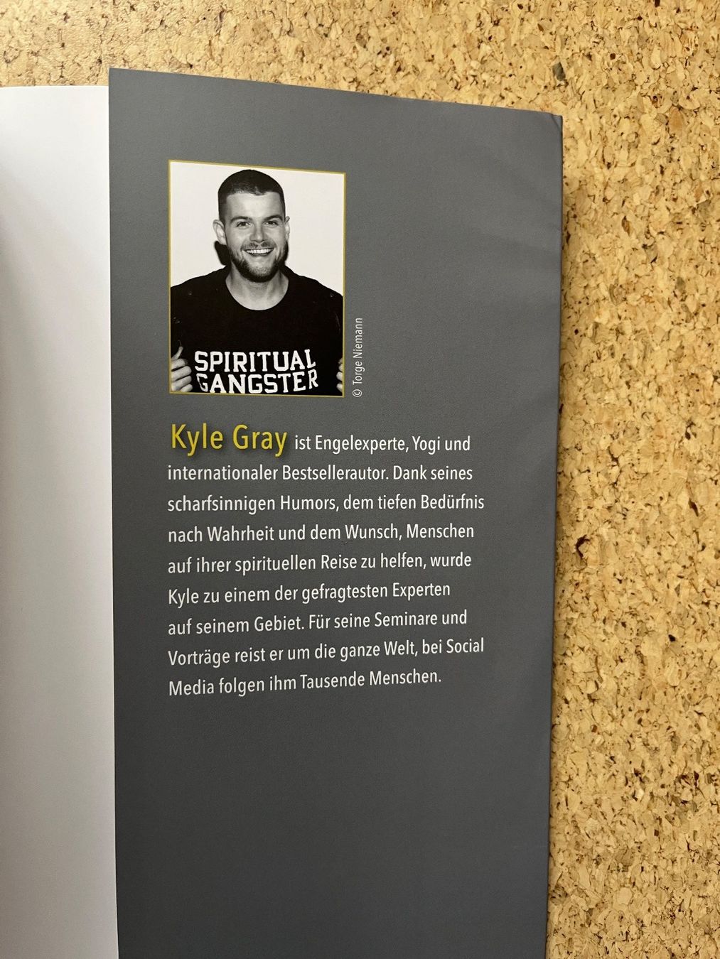 Libri: Taschenbuch "Light Warrior", Kyle Gray – Usato da Grosswangen venduto da Vita500 3
