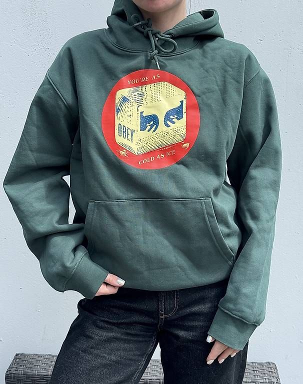 Obey Maglioni & Felpe: Obey Kapuzenpullover hoodie Kängurutasche – Usato da Meggen venduto da gia_wz2q 1