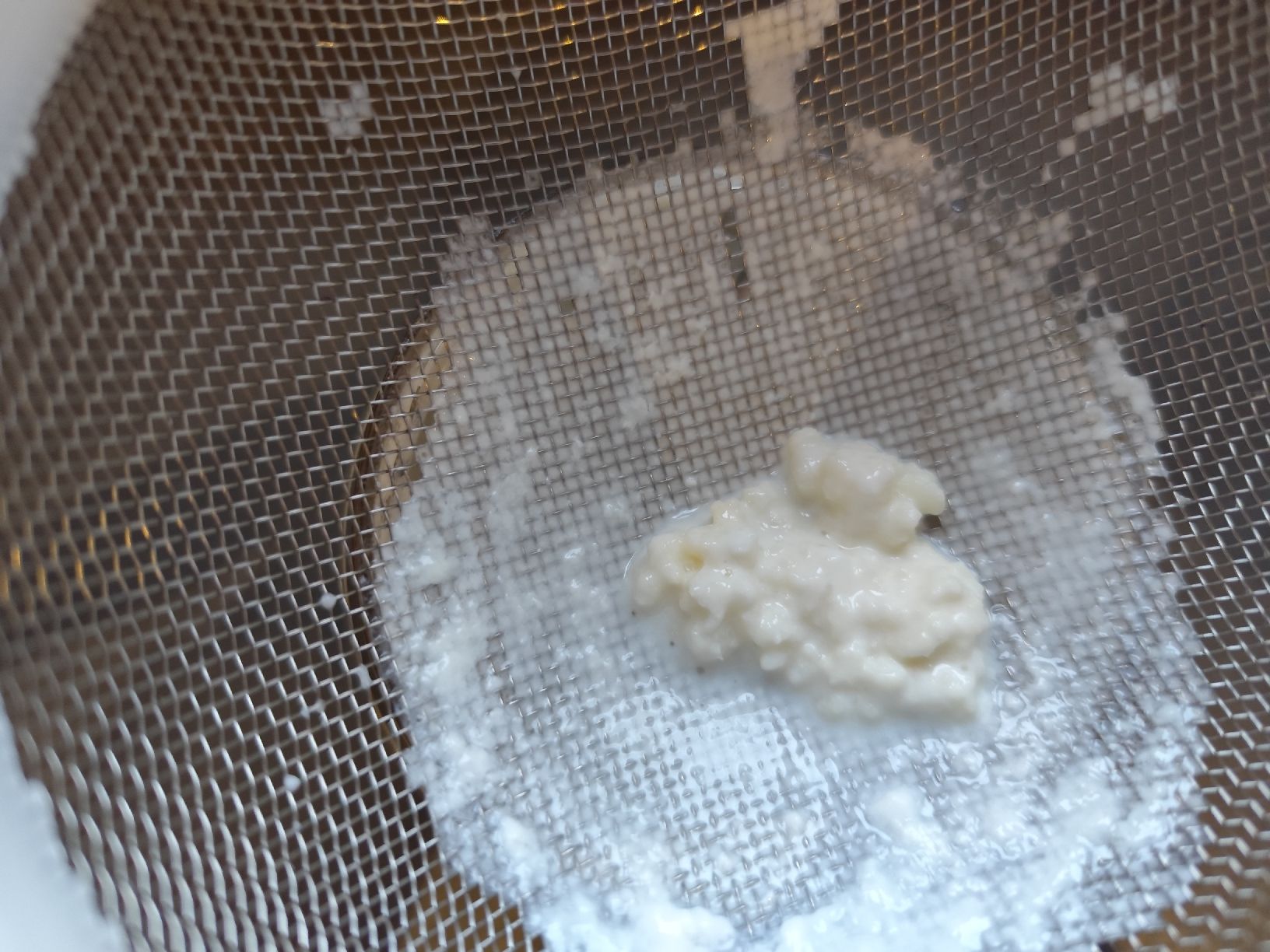Cibi & Specialità: Milchkefir – Usato da Hindelbank venduto da Pooky82 1