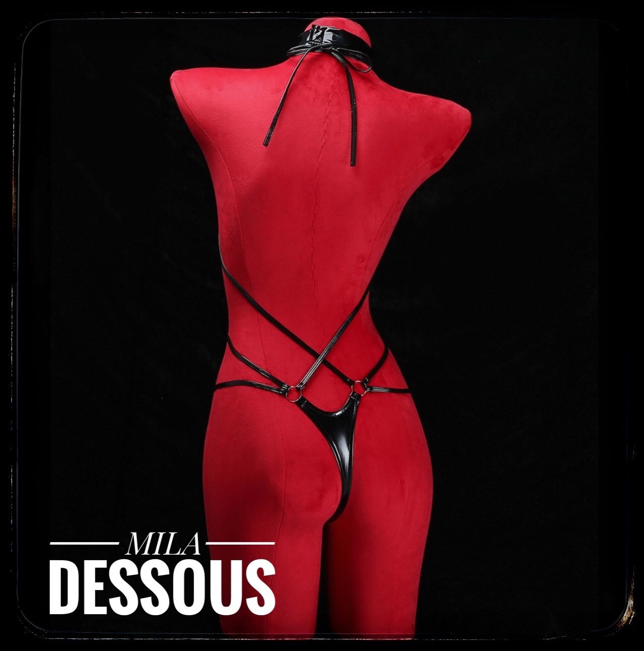 sexy dessous leder petite fleur gold Corsage mit abnehmbaren Trägern, Long-BH in Leder-Optik, sexy  Dessous main image 0