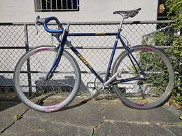 Campagnolo retro Rennrad