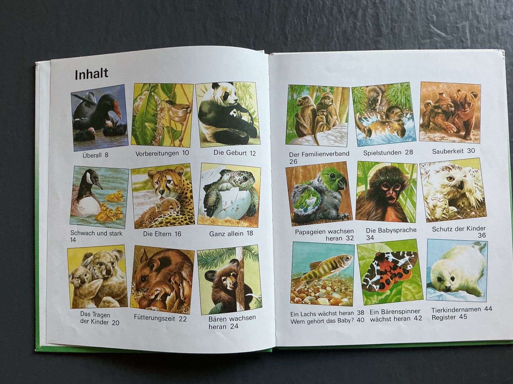 Libri: Alle meine Tierkinder – Usato da Niederhasli venduto da ercp4 2