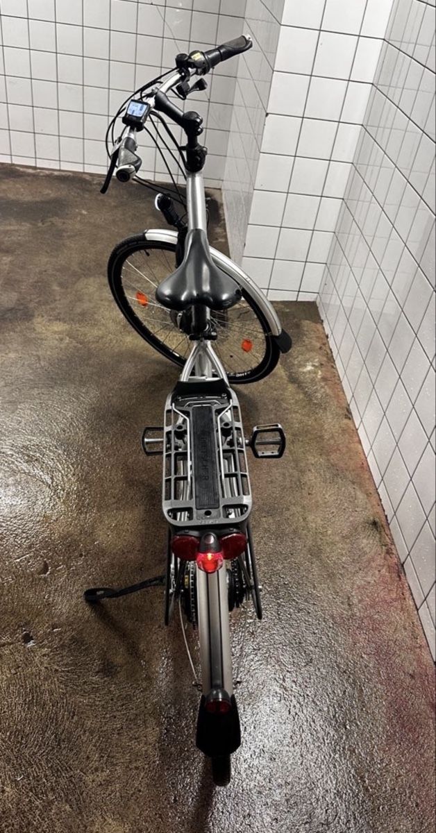 Flyer Biciclette: Flyer e Bike Elektro Velo  – Usato da Brugg AG venduto da ToniMontana95 3