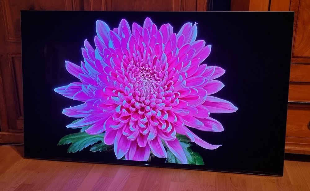 SONY Bravia OLED TV 55" (KD55AF8) Kaufen auf Ricardo