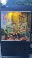 Terrarium mit Beleuchtung und Lüftung guter Zustand