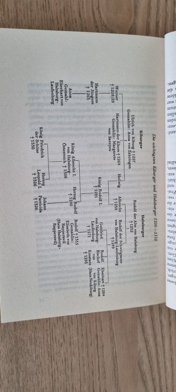 Libri: Abriss der Schweizer Geschichte - Fritz Schaffer – Usato da Spiegel b. Bern venduto da sus_xj97 1