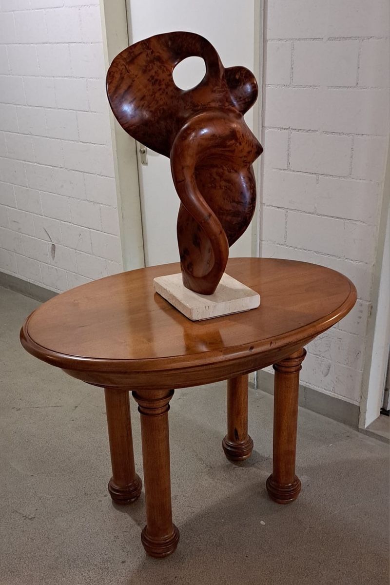 Sculture & Statue: Skulptur Thuiawurzel ohne Tisch – Usato da Lindau venduto da Mkey1