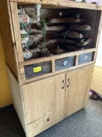 Terarium für Gekos inkl. Selbstgebautes Untermöbel