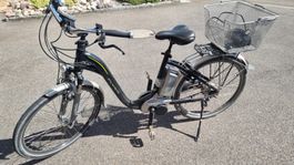 Elektrovelo Flyer C12