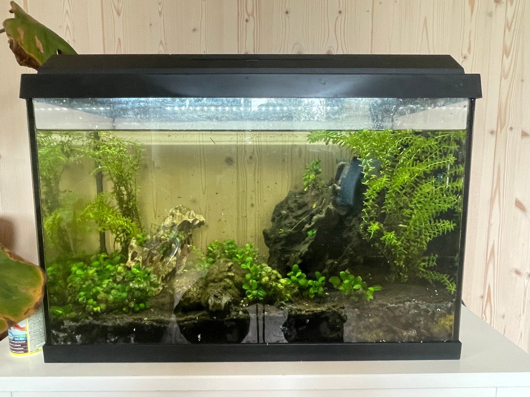 Juwel Aquarium: Aquaruim Komplett oder einzelne Teile – Gebraucht aus Bern von nad_mws6 1