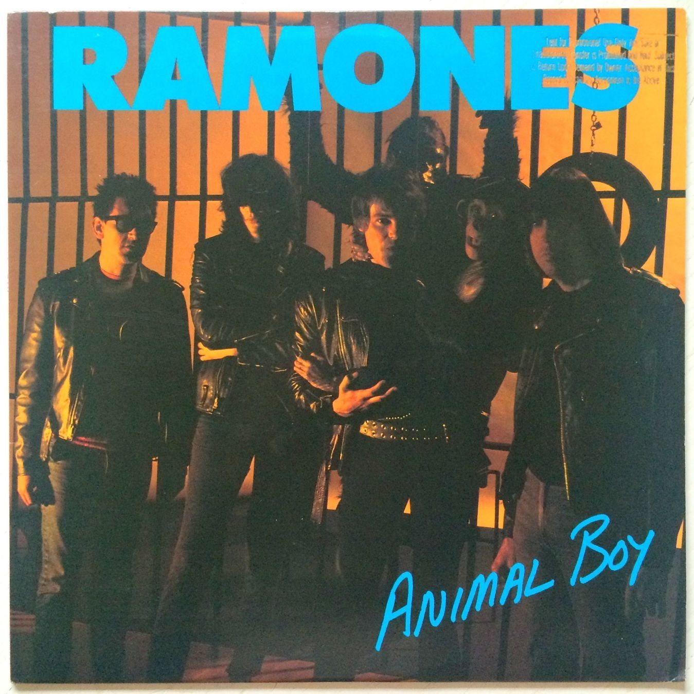Dischi in vinile: RAMONES - ANIMAL BOY – Usato da Bottens venduto da hotter-than-hell