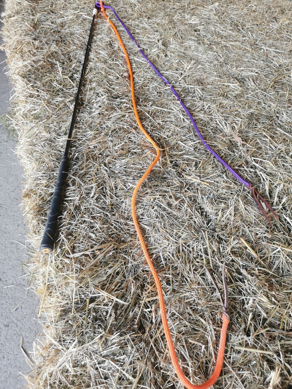 Altro in Accessori per animali: Parelli Carrot Stick – Usato da Konolfingen venduto da fury04 1