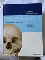 Prometheus LernAtlas der Anatomie Kopf Neuroanatomie