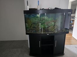 Aquarium mit Unterschrank und Fischen gebraucht