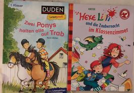 Lesebücher 1 Klasse: Zwei Ponys...+ Hexe Lilli ..  top