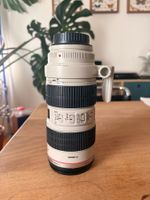 Canon EF 70-200mm 1:2.8L USM Objektiv Defekt