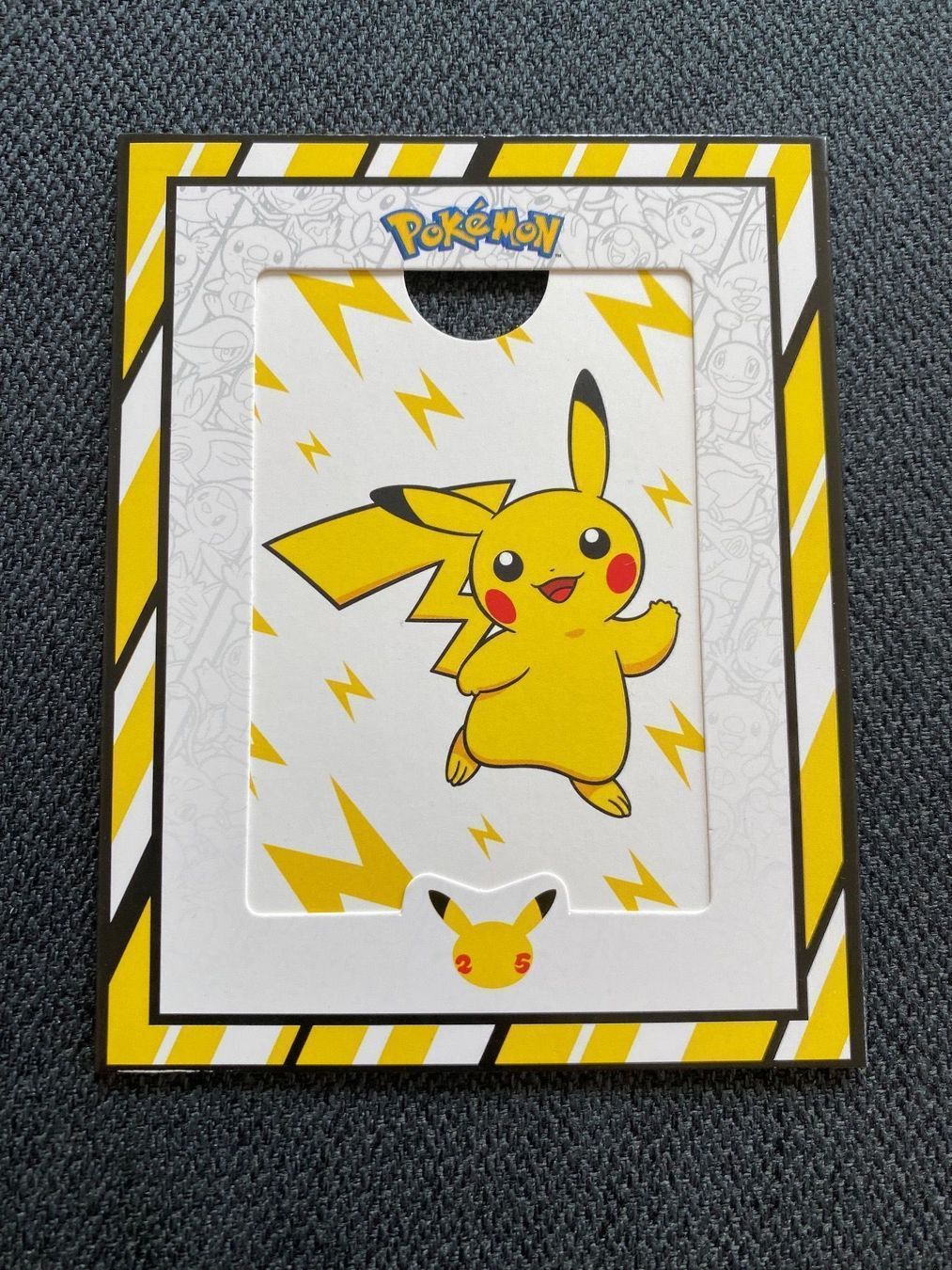 Pokémon Carte collezionabili: Pokémon Kartenhalter Pikatchu Edition – Usato da Winkel venduto da RiMa95