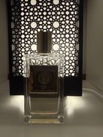 Mizensir Ideal Oud décant 2 ml