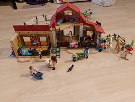Playmobil Pferdehof Country mit Katzen und Figuren