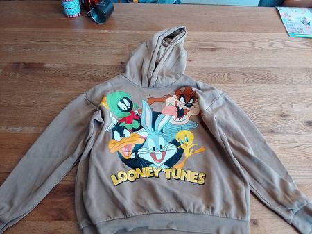 Looney Tunes Pullover