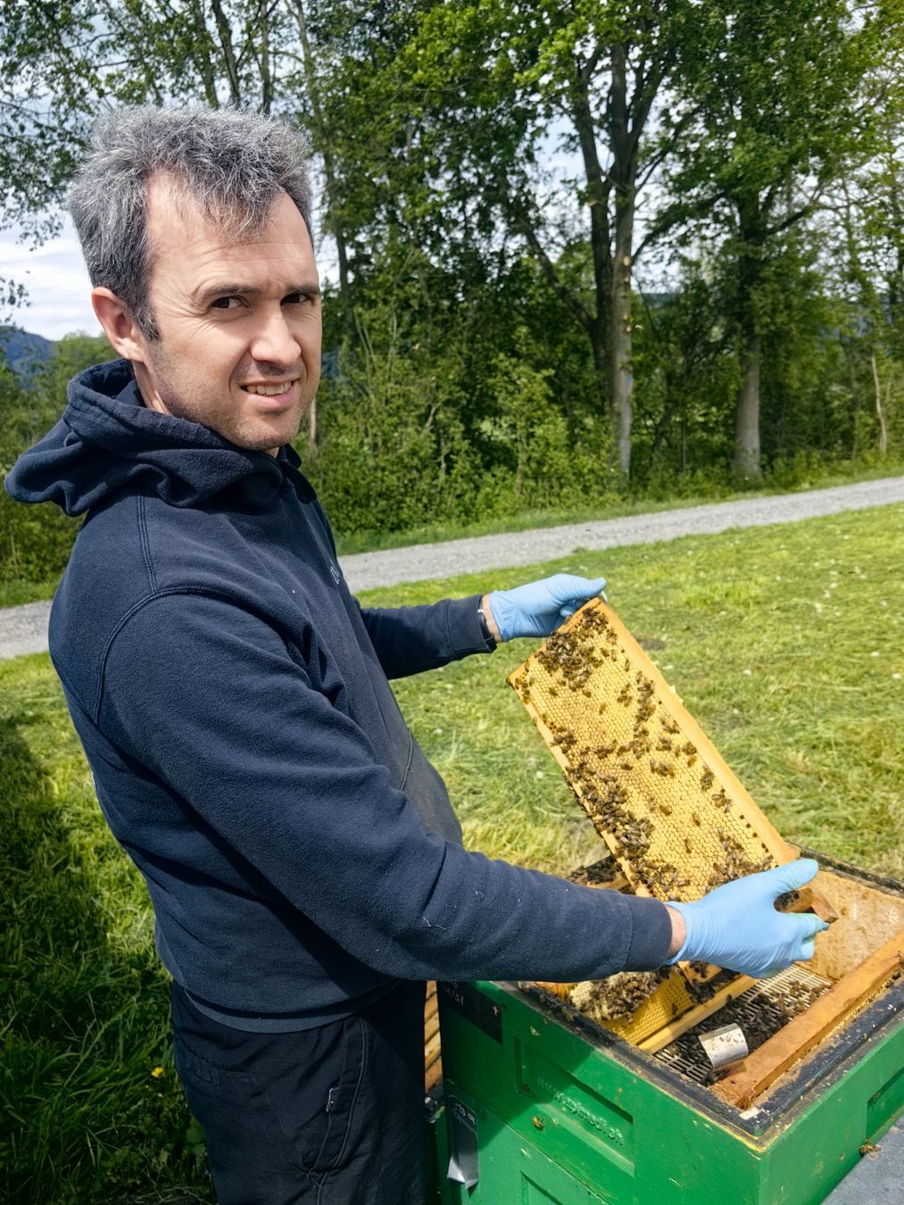 Cibi & Specialità: Echter Honig, verschiedene Sorten direkt vom Imker – Nuovo e nell'imballaggio originale da Marbach SG venduto da olahlaszlo 2